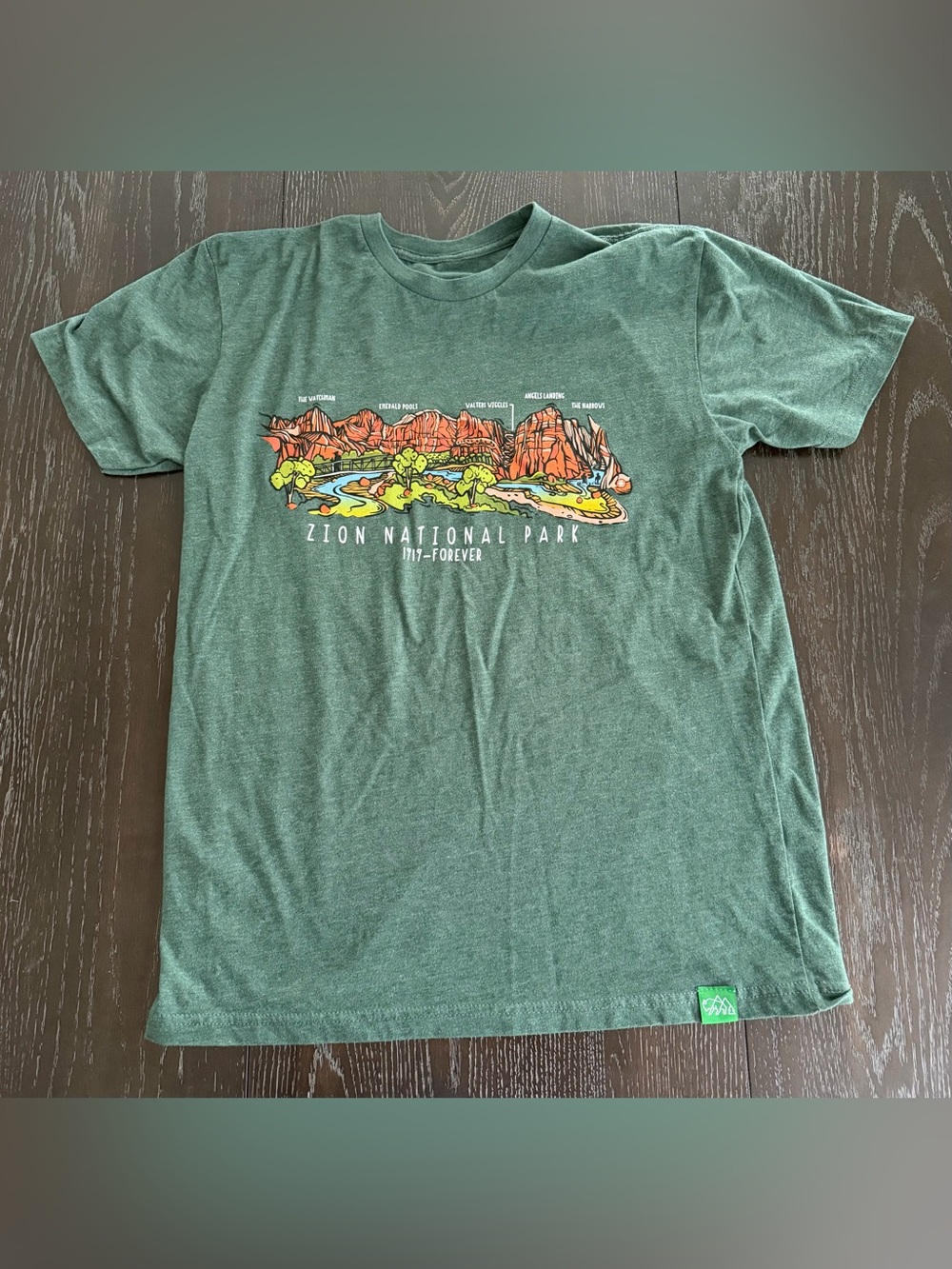 Men's Zion National Park Graphic Tee - Green